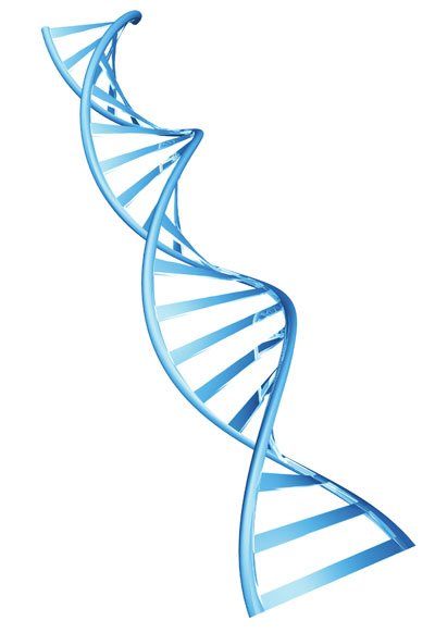 dna dna