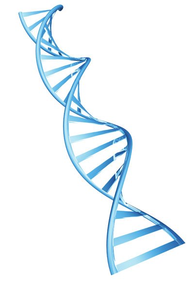 dna