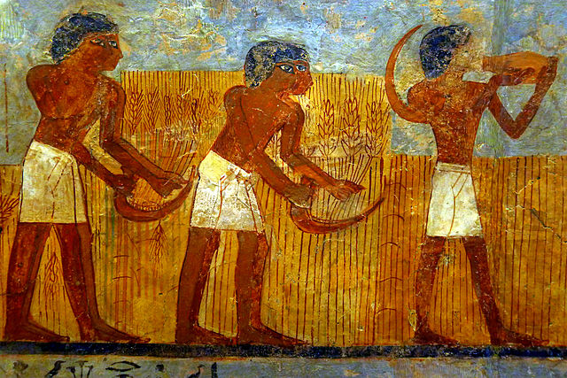 Peinture murale de la tombe d’Ounsou, scrible comptable des grains (détail), Peinture murale de la tombe d’Ounsou, scrible comptable des grains (détail)Mbzt (2013)